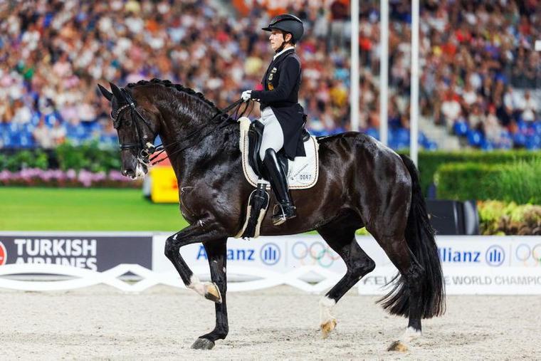 BREEDING: Dressage rankings movers