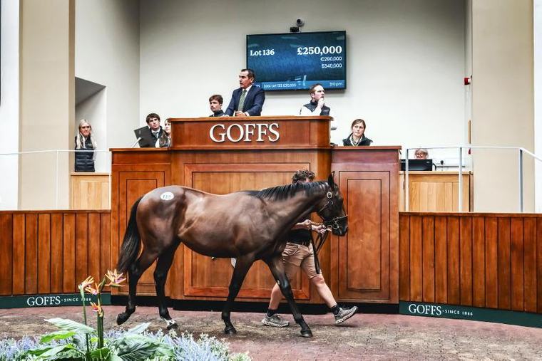 'We need the horses' - Goffs call for more quality at Doncaster