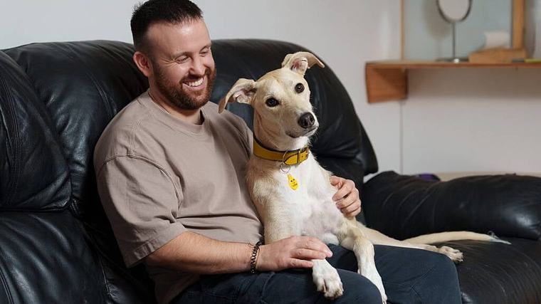 Irish owners say companionship is the thing they love most about dogs