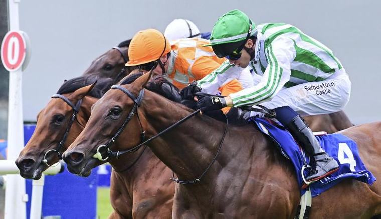 BREEDING INSIGHTS: BARGAIN OF THE WEEK: How good could this Empress be?