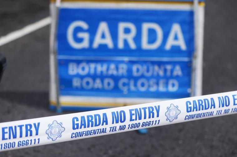 Toddler killed in Limerick hit-and-run named
