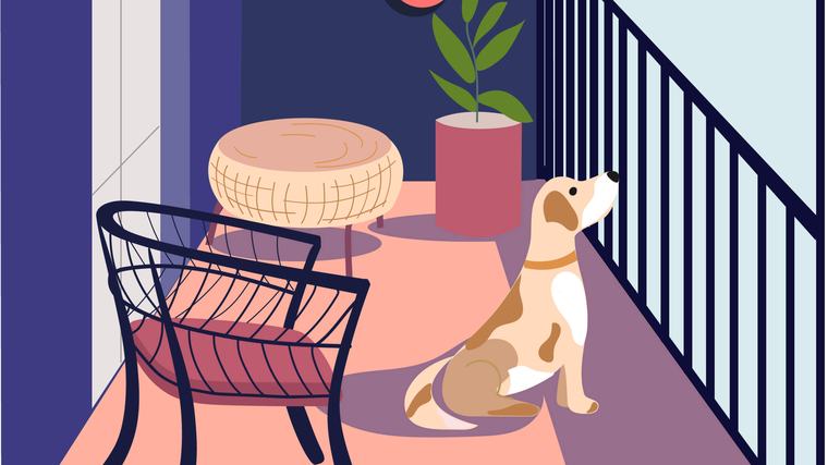 Dear Mary: My neighbour’s dog is left out on a balcony to bark all day and it’s giving me migraines