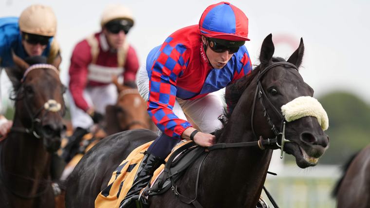 Wayne Bailey: Big Mojo can work his magic again with a Haydock win at a nice price