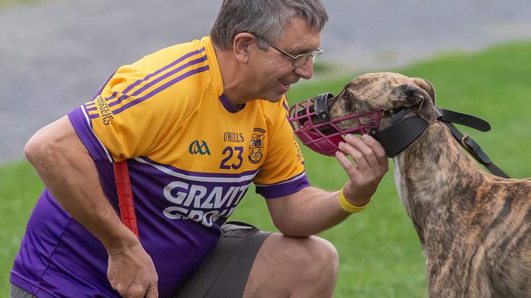 Wexford legend to race against greyhound 30 years after All-Ireland win - ‘The dog is afraid to come out of his kennel!’