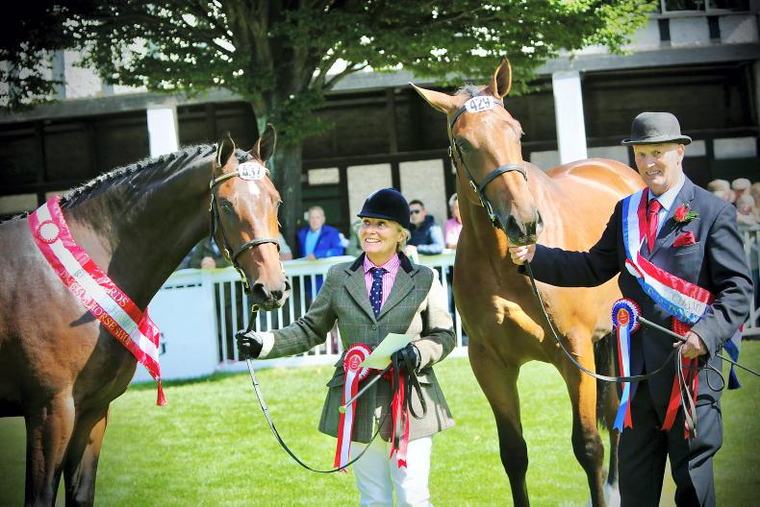 BREEDERS’ 10 – Hurst Show Team: Breed to succeed