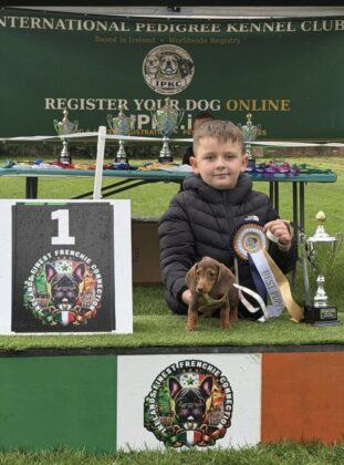 LIMERICK IN PHOTOS: A dog’s life