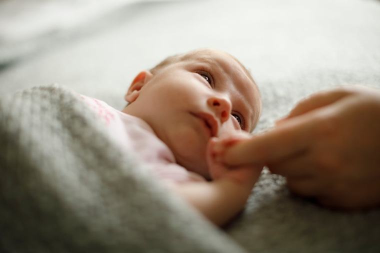 Quality public childcare and dependable dads key to boosting fertility rates