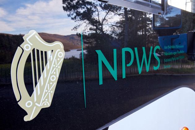 The FOI Files: The year-long battle for records on Ireland’s promised Wildlife Crime Unit