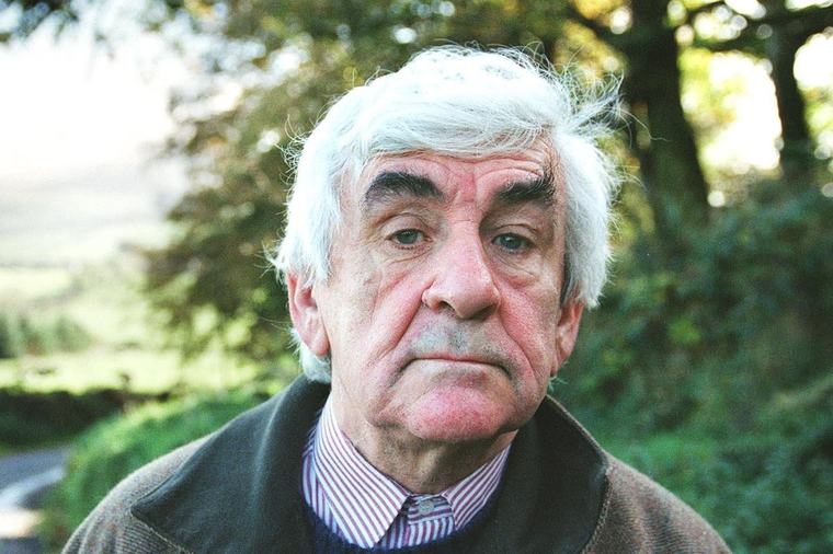 Former Irish Times chief critic Brian Fallon dies aged 93