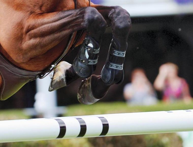 NEWS: What does examinership mean for the industry?