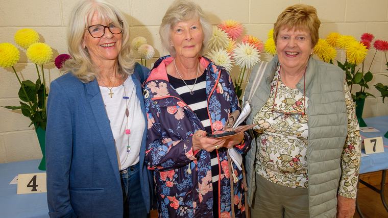 Wicklow horticultural society chooses its big winners for Dahlia Show 2026