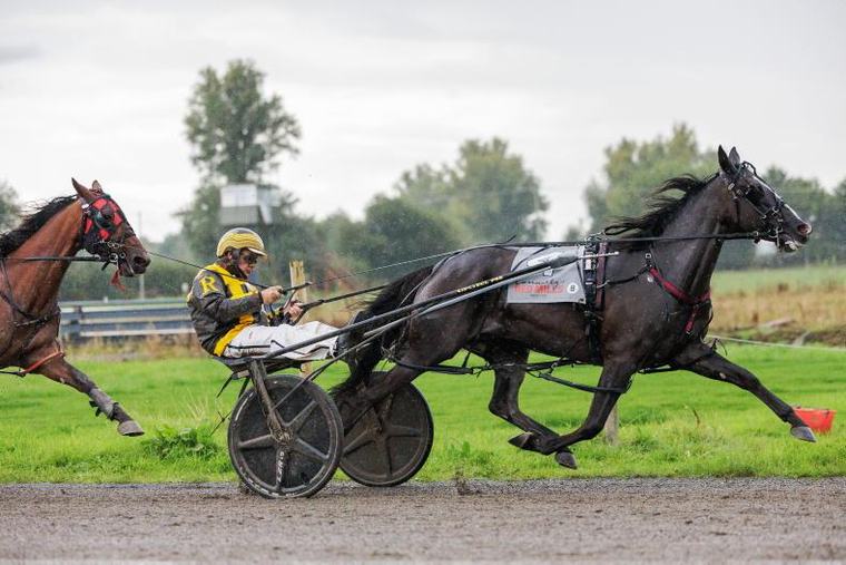 HARNESS: Another two for Richardson at Annaghmore