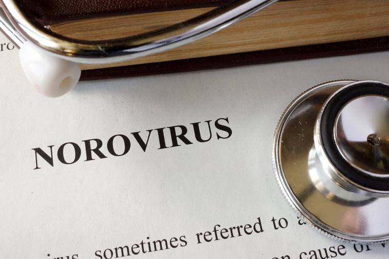 What is norovirus and how has an outbreak closed a deluxe Co Westmeath hotel?