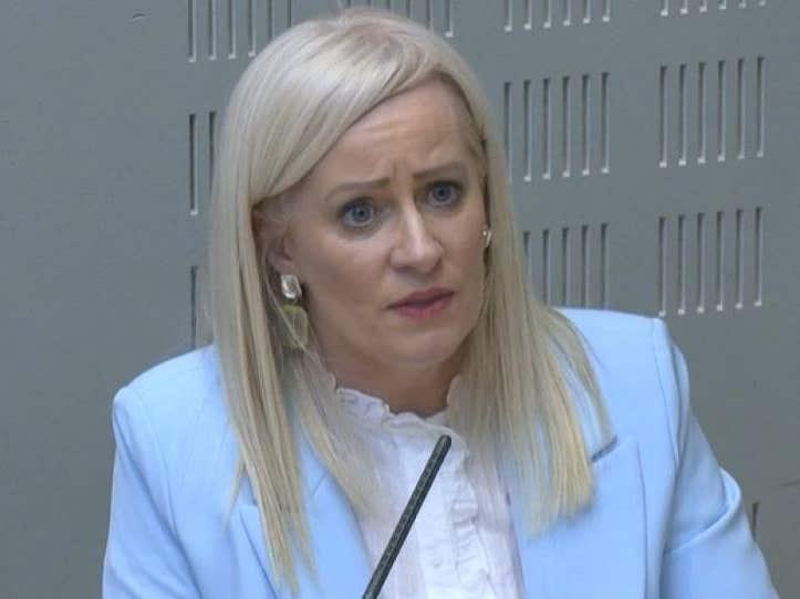 Fianna Fáil minister ‘categorically’ disagrees with Burnham on unity poll