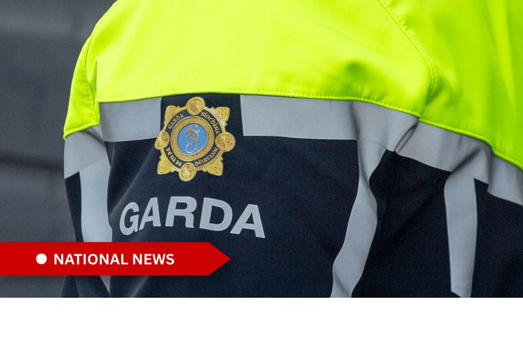 Gardai appeal following the discovery of a deceased female in her 20s in a park