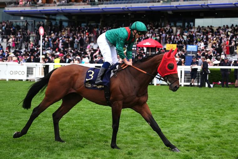 Graffard expecting to see much more like the real Daryz on Sunday