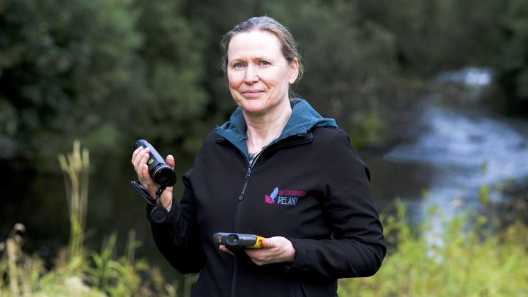 ‘Bats have a bad reputation but Irish homeowners should see them as misunderstood attic neighbours, not pests’